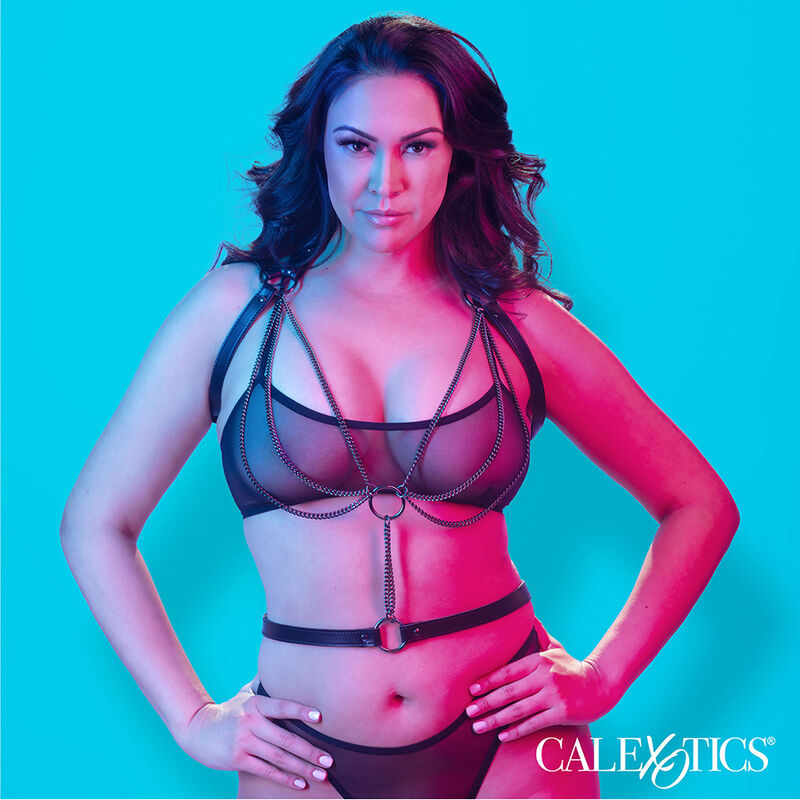 HARNAIS LICOL MULTICHAÎNES PREMIUM GRANDE TAILLE