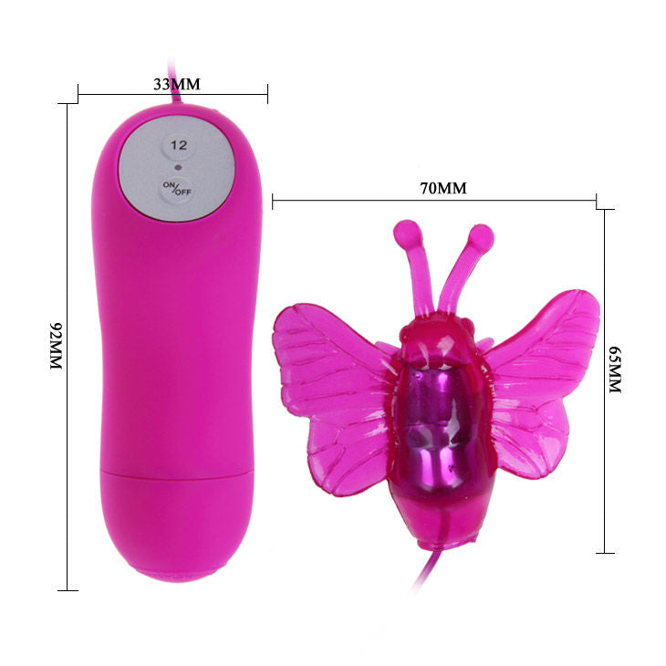 PAPILLON VIBRANT